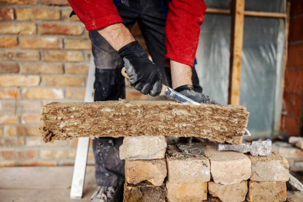 Best Attic Insulation Installation  in Alexander, AR