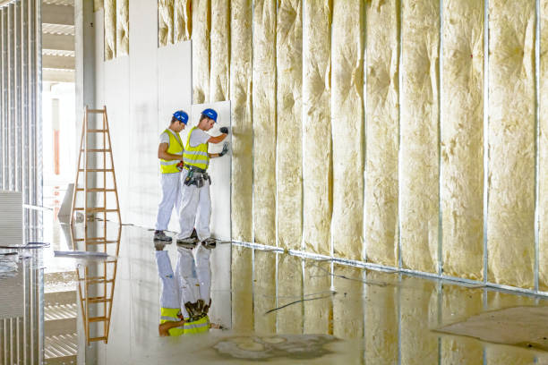 Best Affordable Insulation Services  in Alexander, AR